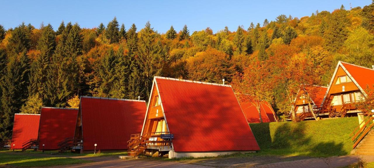 Perelka Bieszczady Domki Cisna Extérieur photo