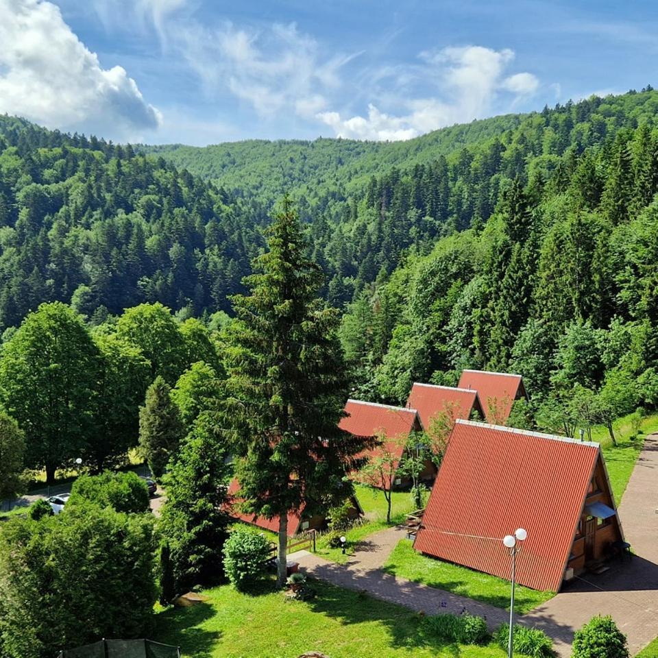 Perelka Bieszczady Domki Cisna Extérieur photo
