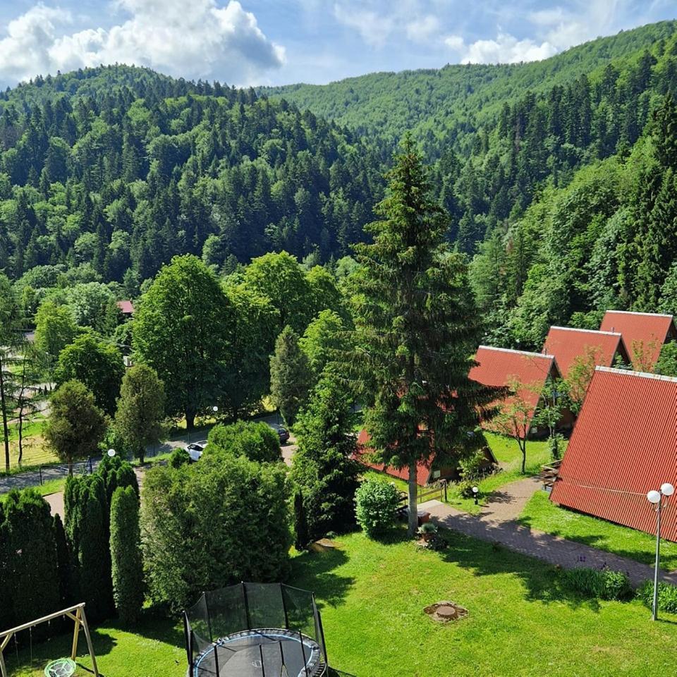 Perelka Bieszczady Domki Cisna Extérieur photo